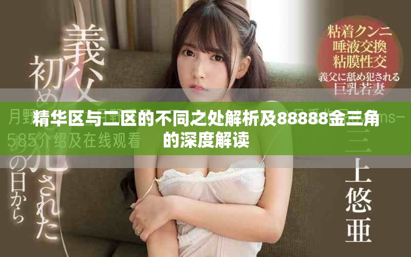 精华区与二区的不同之处解析及88888金三角的深度解读