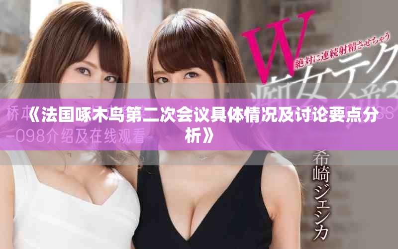 《法国啄木鸟第二次会议具体情况及讨论要点分析》