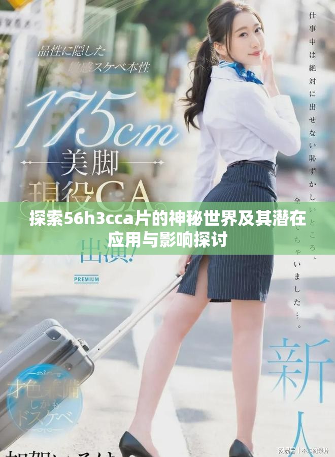 探索56h3cca片的神秘世界及其潜在应用与影响探讨