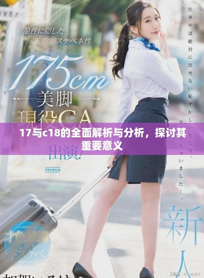 17与c18的全面解析与分析，探讨其重要意义