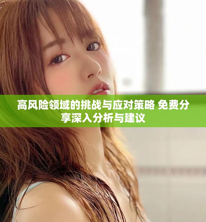 高风险领域的挑战与应对策略 免费分享深入分析与建议