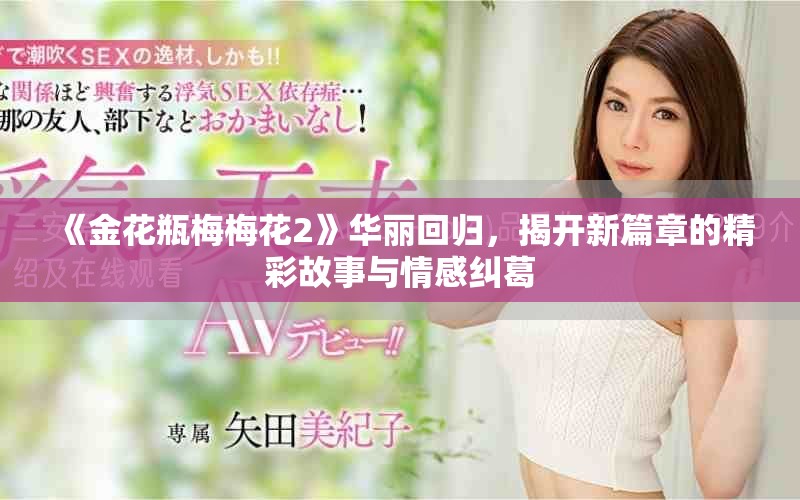 《金花瓶梅梅花2》华丽回归，揭开新篇章的精彩故事与情感纠葛