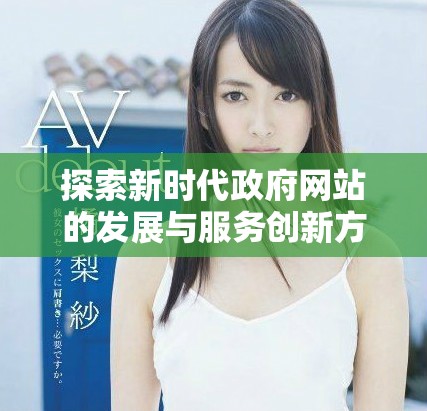 探索新时代政府网站的发展与服务创新方案