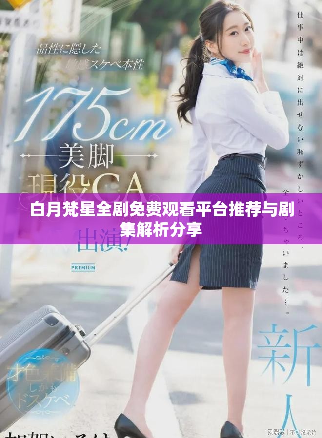 白月梵星全剧免费观看平台推荐与剧集解析分享