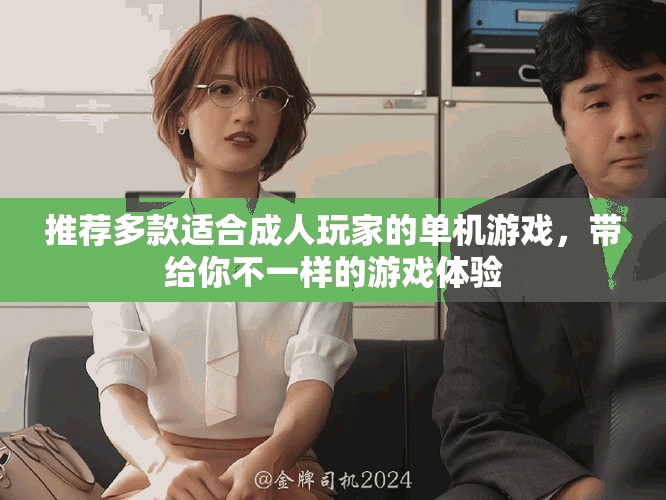 推荐多款适合成人玩家的单机游戏，带给你不一样的游戏体验
