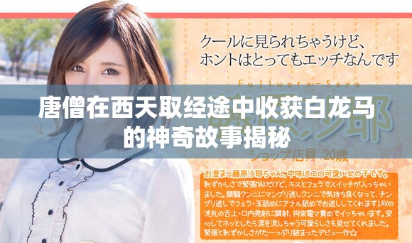 唐僧在西天取经途中收获白龙马的神奇故事揭秘
