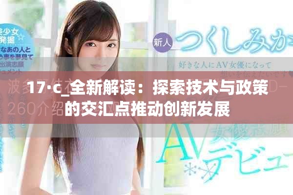 17·c_全新解读：探索技术与政策的交汇点推动创新发展