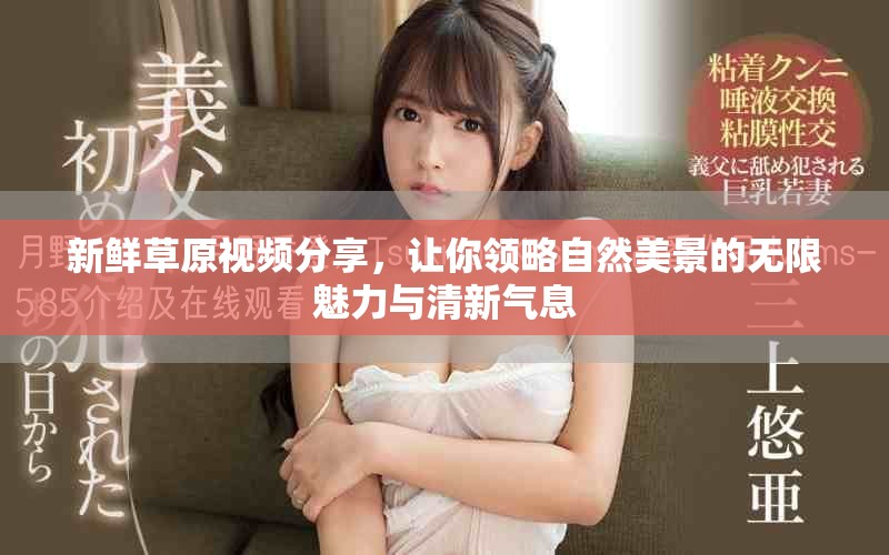 新鲜草原视频分享，让你领略自然美景的无限魅力与清新气息