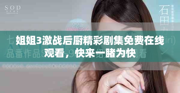 姐姐3激战后厨精彩剧集免费在线观看，快来一睹为快