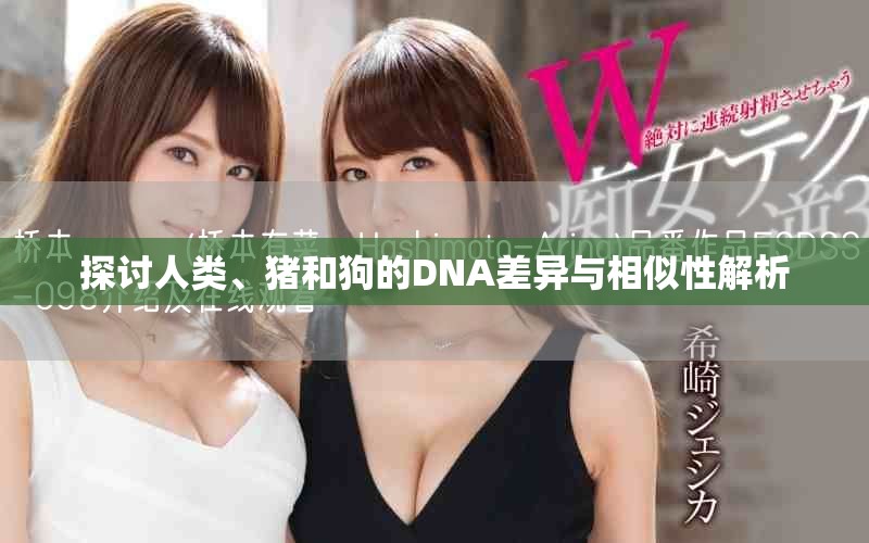 探讨人类、猪和狗的DNA差异与相似性解析
