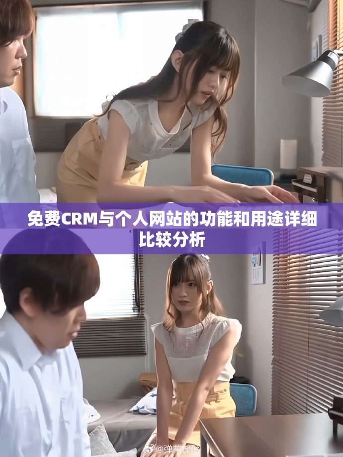 免费CRM与个人网站的功能和用途详细比较分析