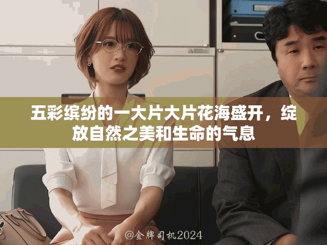 五彩缤纷的一大片大片花海盛开，绽放自然之美和生命的气息