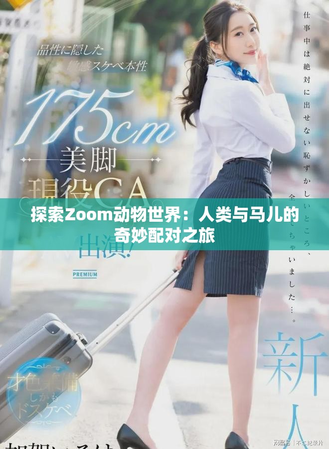 探索Zoom动物世界：人类与马儿的奇妙配对之旅