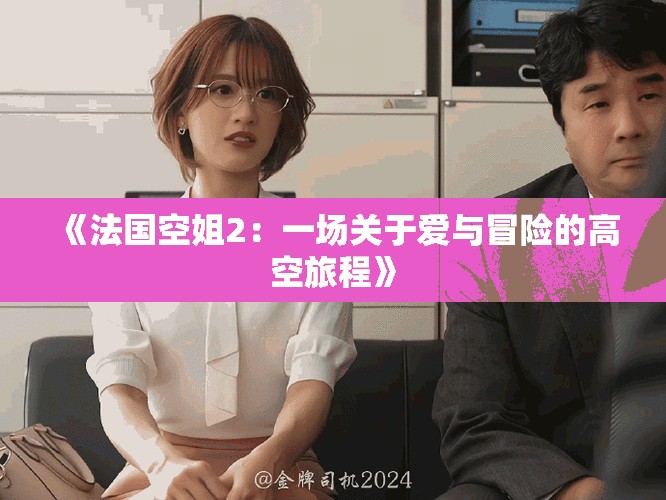 《法国空姐2：一场关于爱与冒险的高空旅程》
