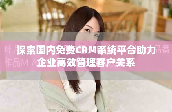 探索国内免费CRM系统平台助力企业高效管理客户关系