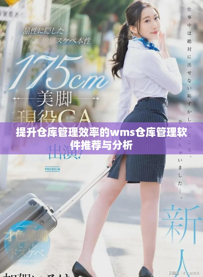 提升仓库管理效率的wms仓库管理软件推荐与分析