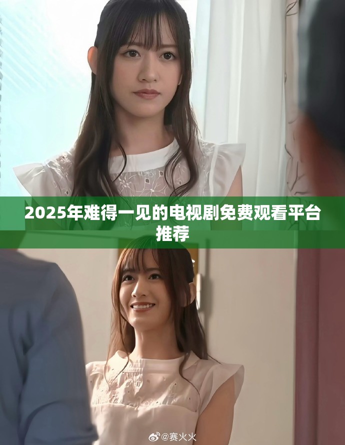 2025年难得一见的电视剧免费观看平台推荐