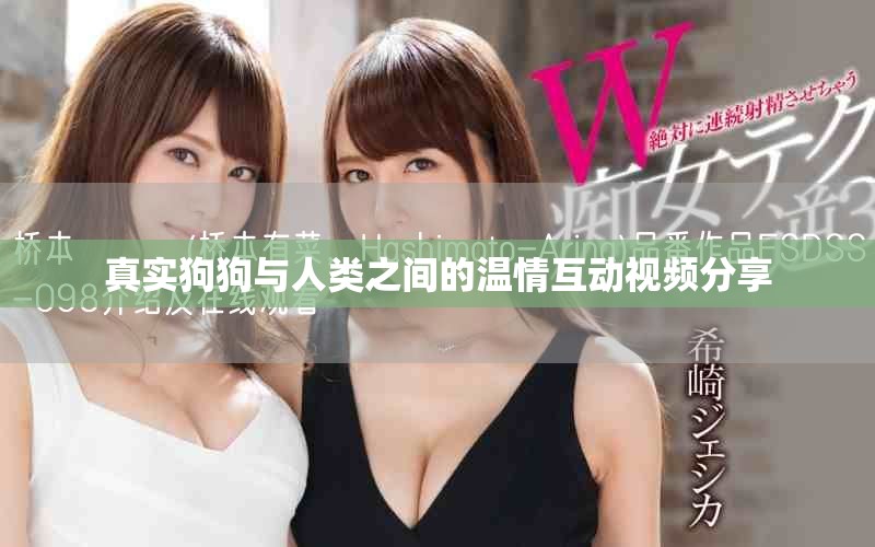 真实狗狗与人类之间的温情互动视频分享 真实狗狗与人类之间的温情互动视频分享