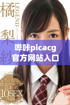哔咔picacg官方网站入口信息一览及使用指南