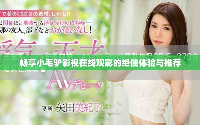 畅享小毛驴影视在线观影的绝佳体验与推荐